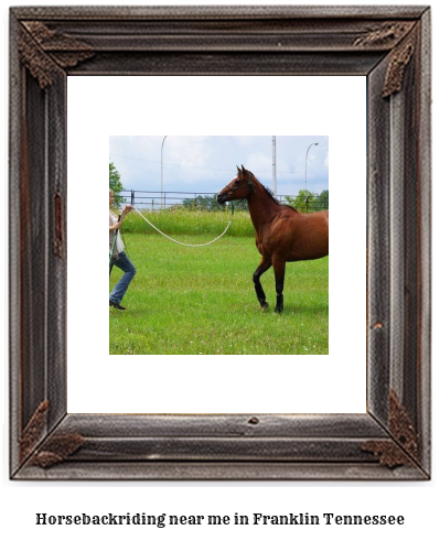 horseback riding near me in Franklin, Tennessee